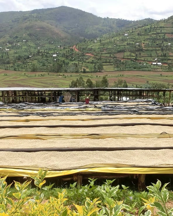 RWANDA Nyarusiza- 150g