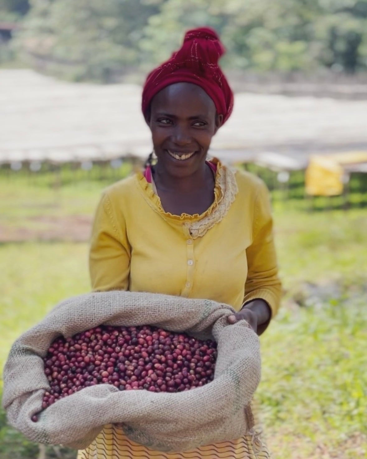 ETHIOPIA Ayla Bombe Natural 150g